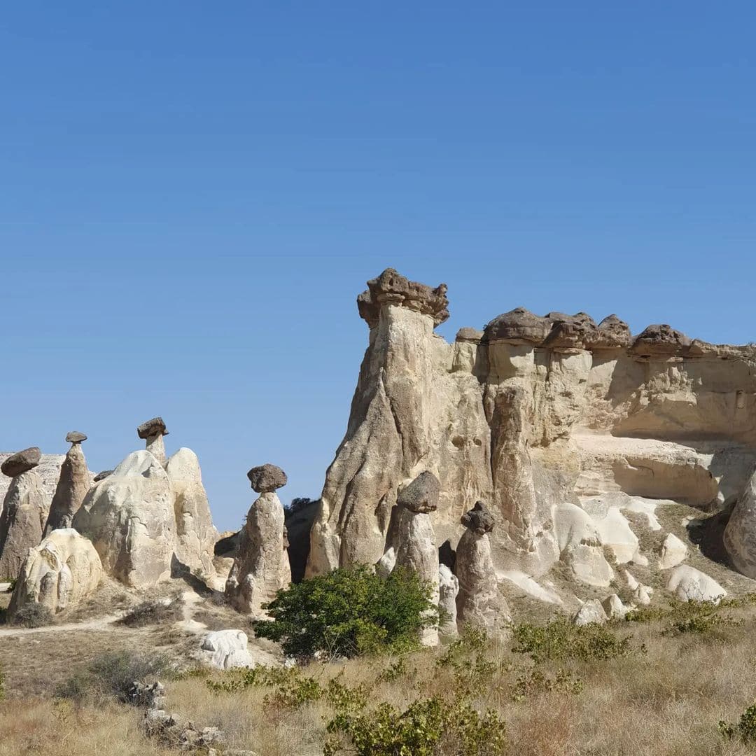 Çavuşin