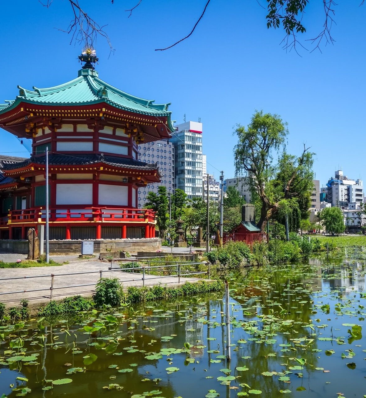 Stagno di Shinobazu