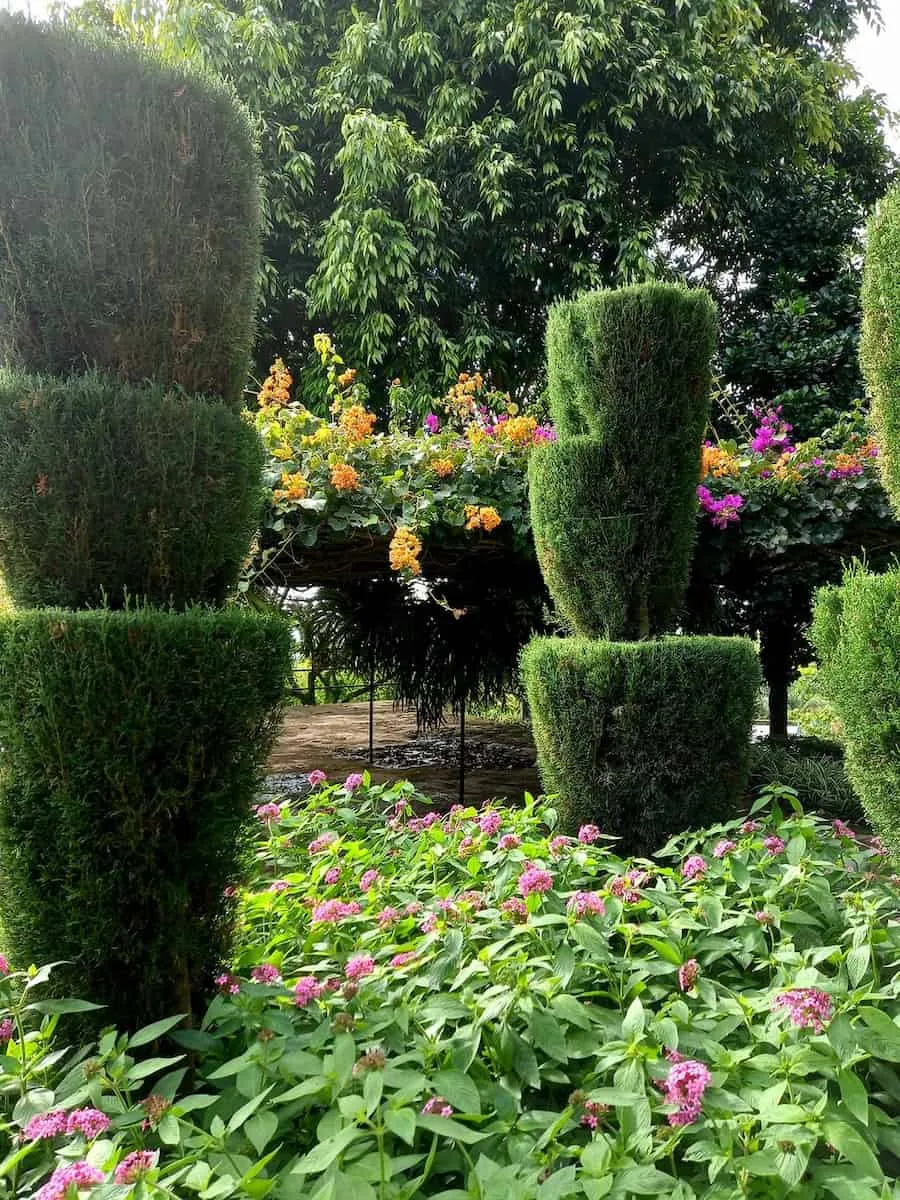 Jardim Botânico da Madeira