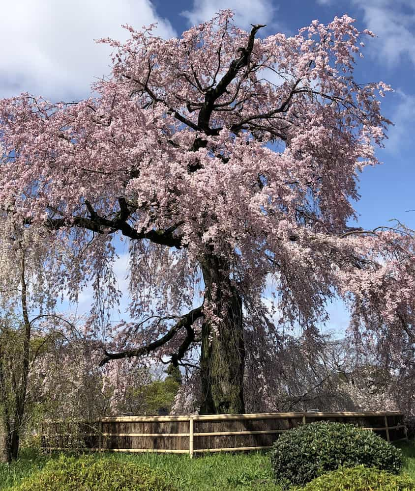 Parco Maruyama