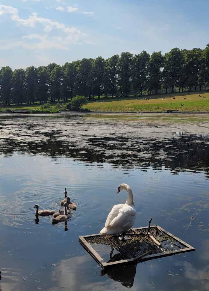 Inverleith Park