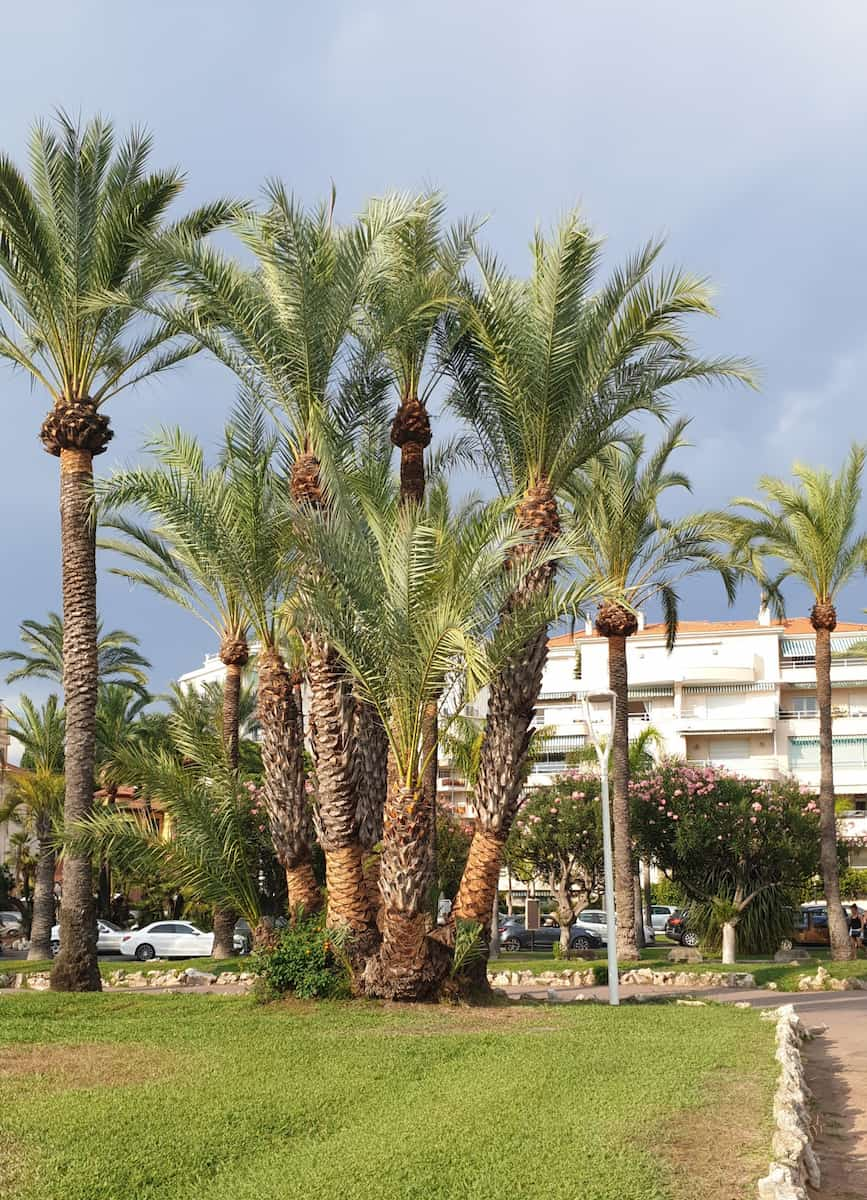 Spiaggia La Croisette