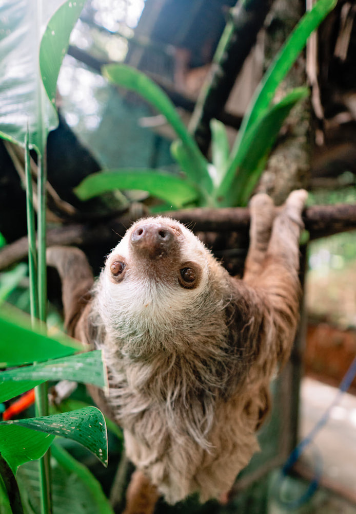 Manuel Antonio