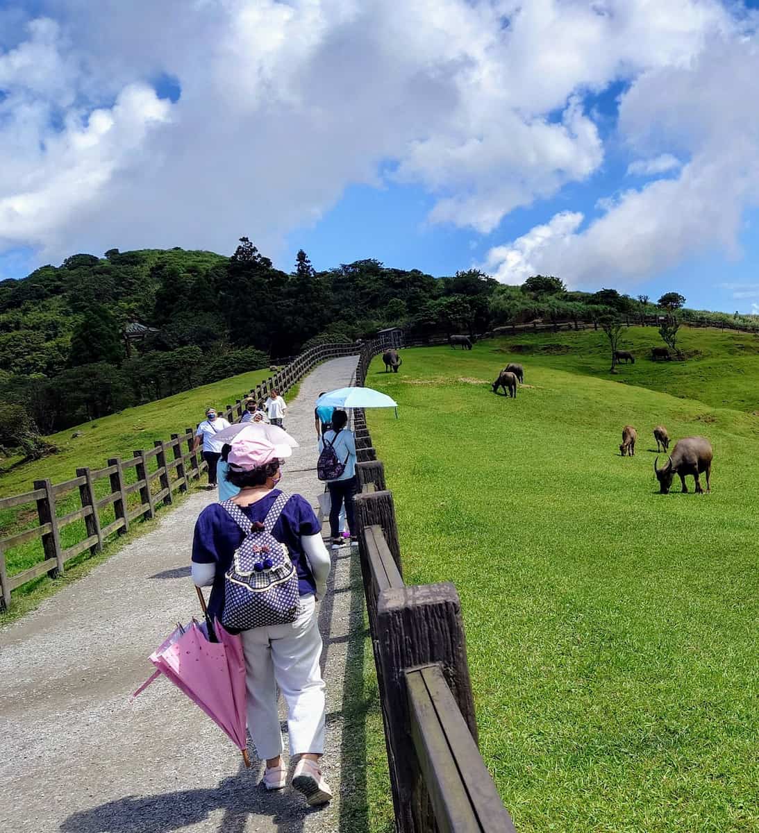Parco Nazionale Yangmingshan