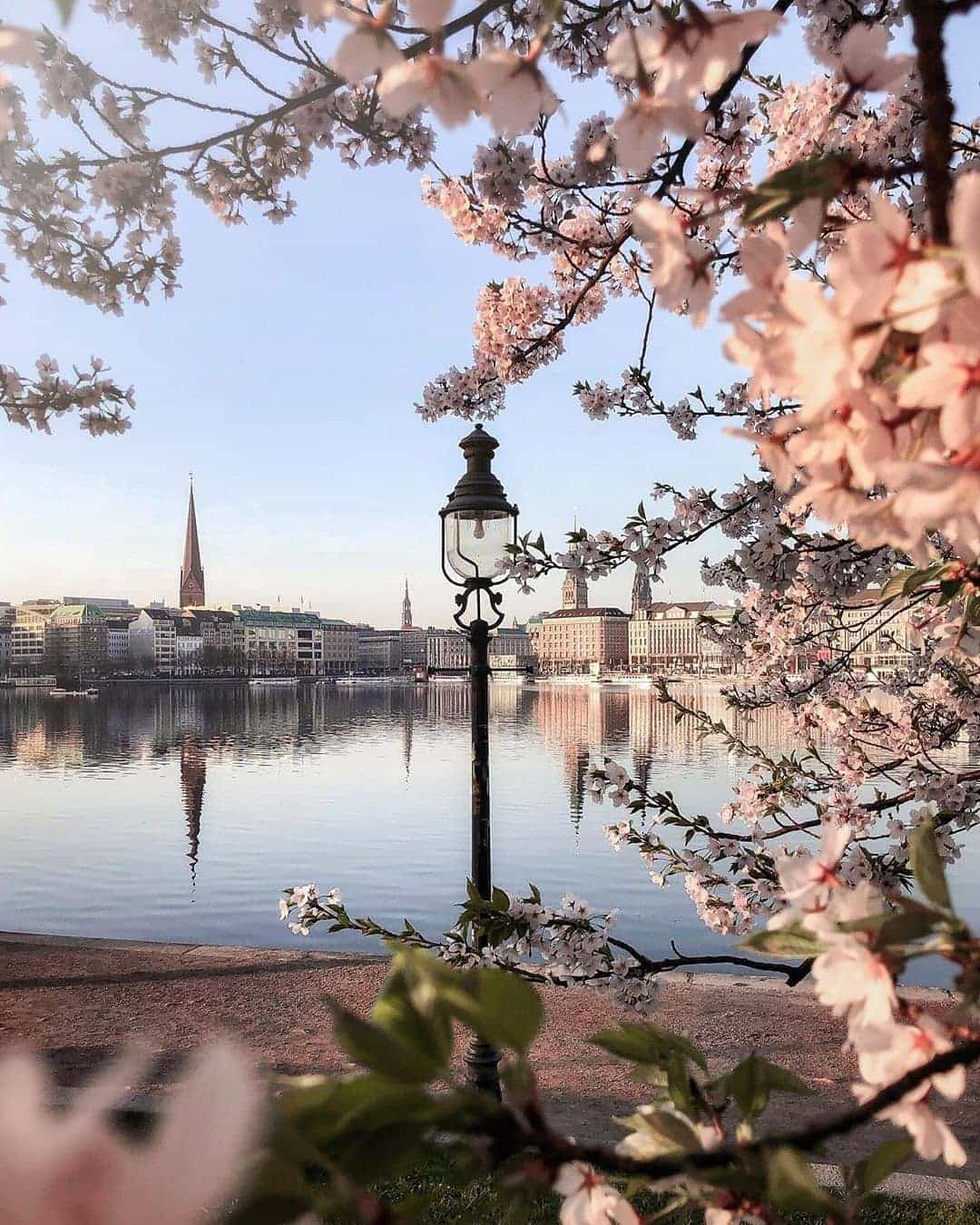 Laghi Alster, Amburgo, Germania