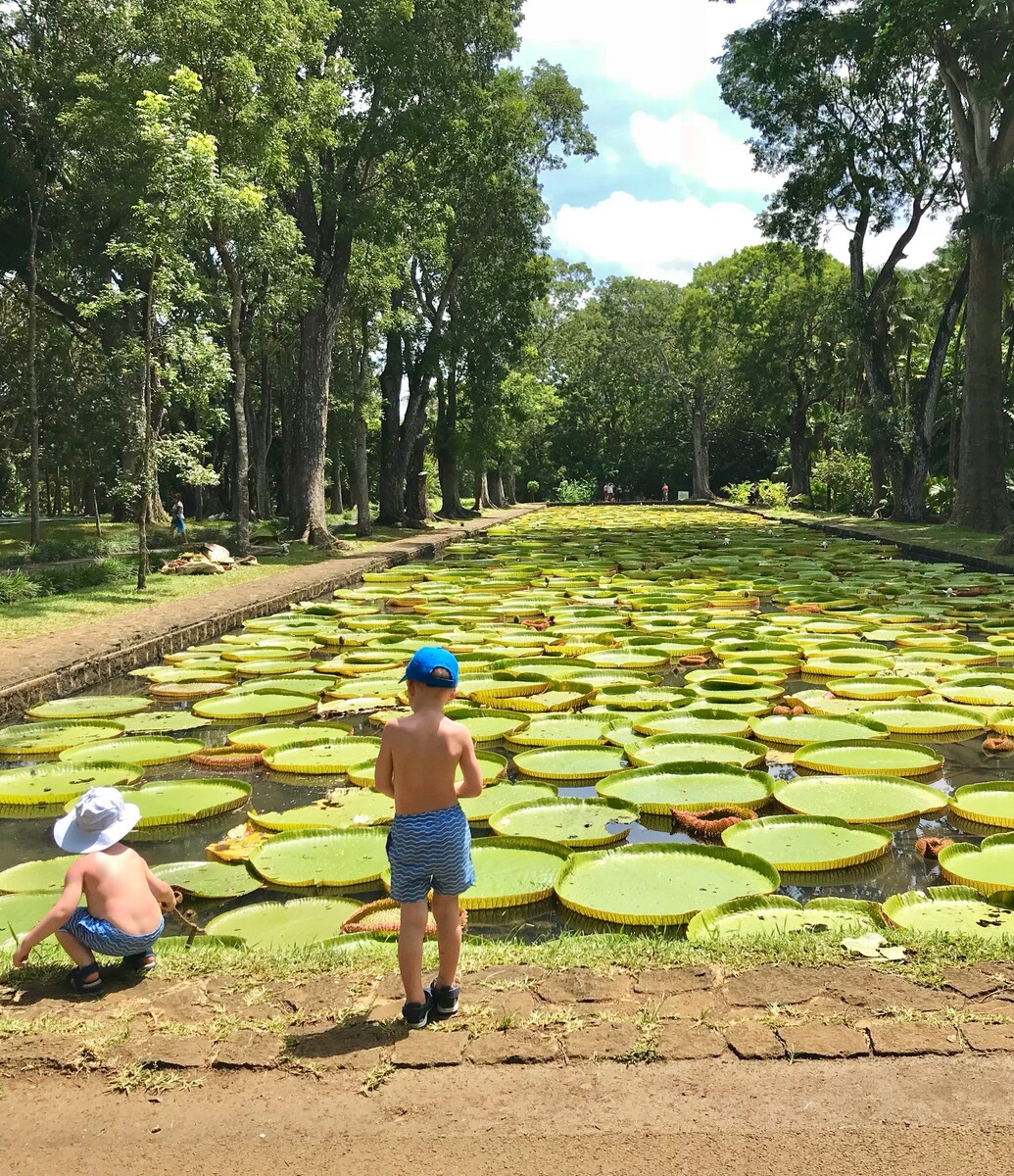 Giardino botanico di Pamplemousses