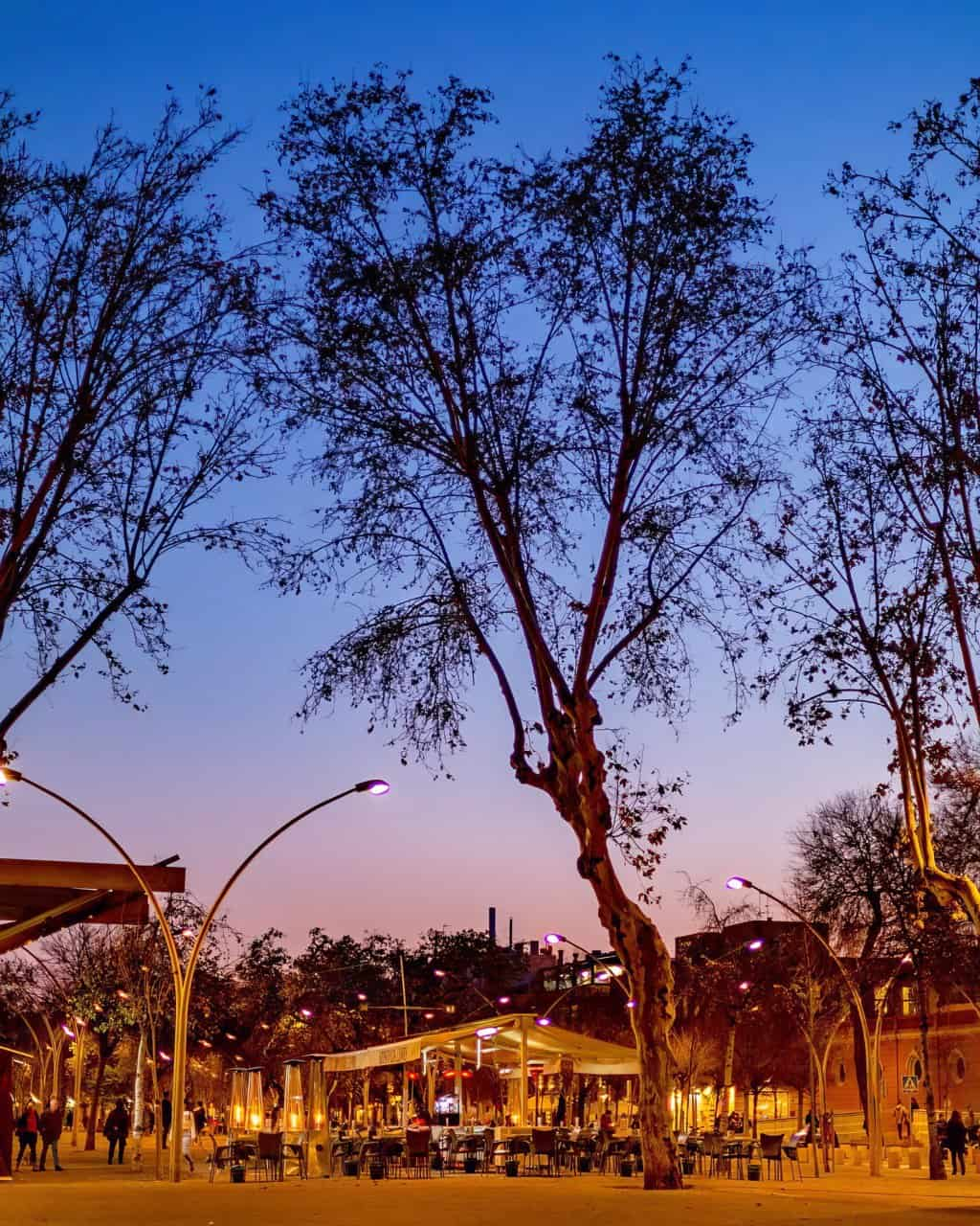 Notte in diretta Alameda de Hércules, Siviglia, Spagna