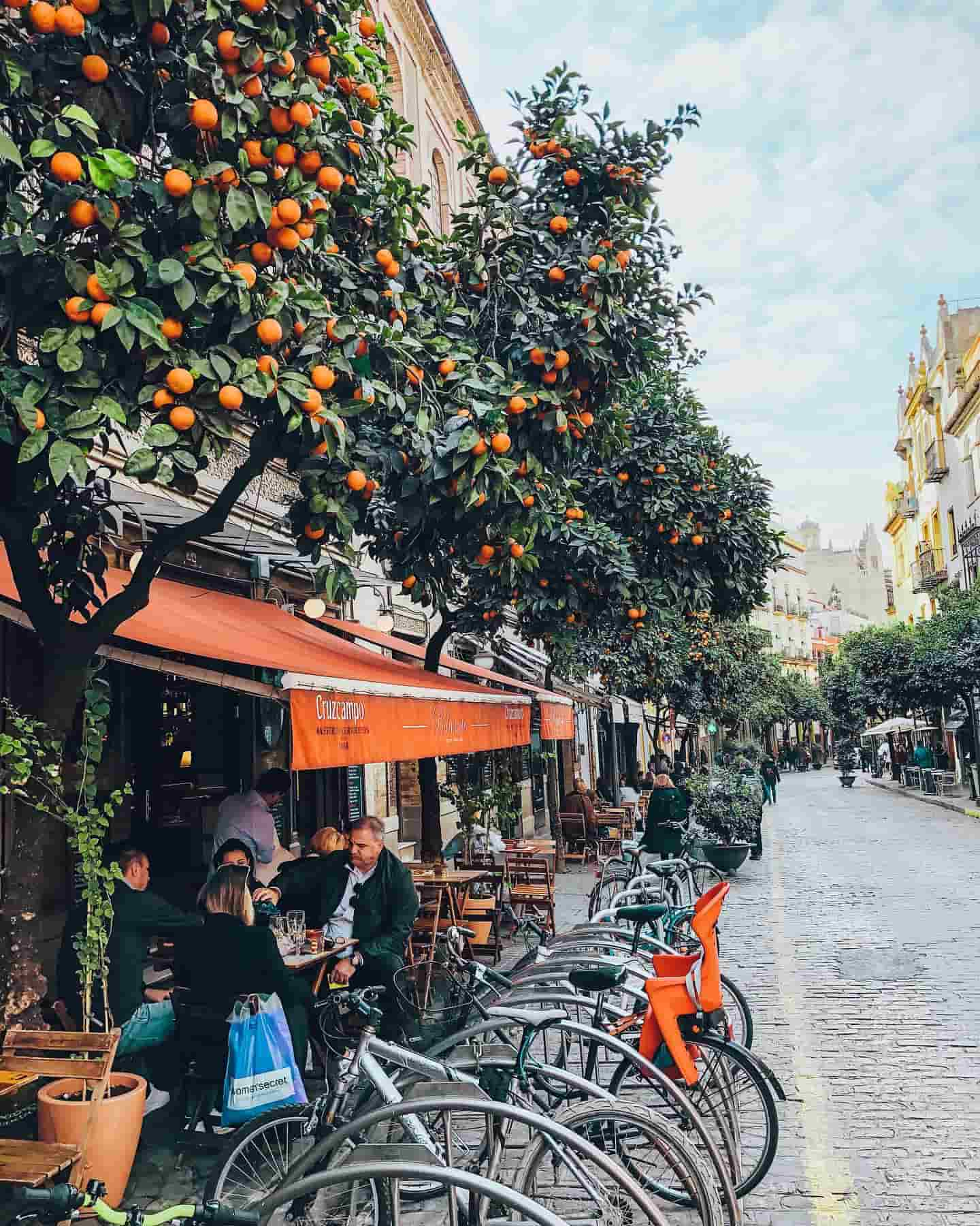 Strade fiancheggiate da aranci, Siviglia, Spagna