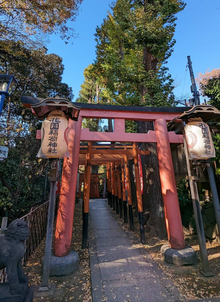 Shinjuku’s Hanazono Shrine, Tokyo