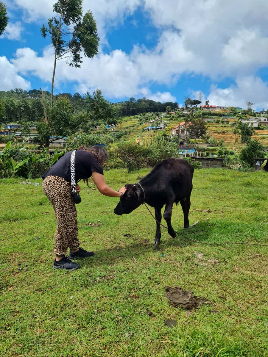 Nuwara Eliya, Sri Lanka