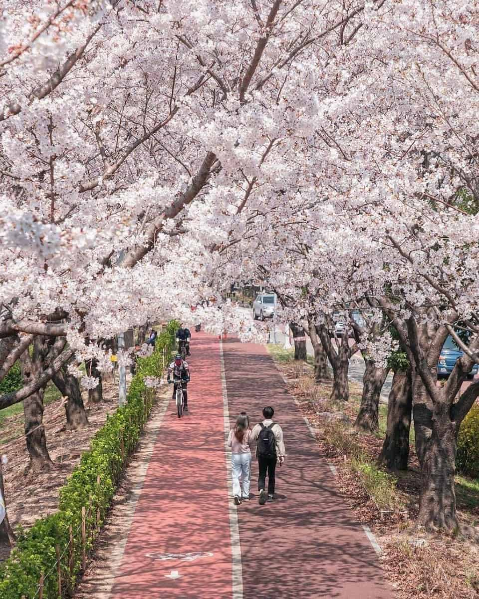 Sasang, Busan