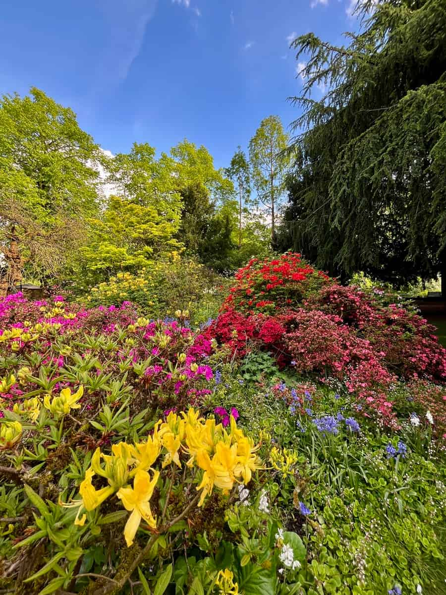 Parco e giardino botanico Fletcher Moss