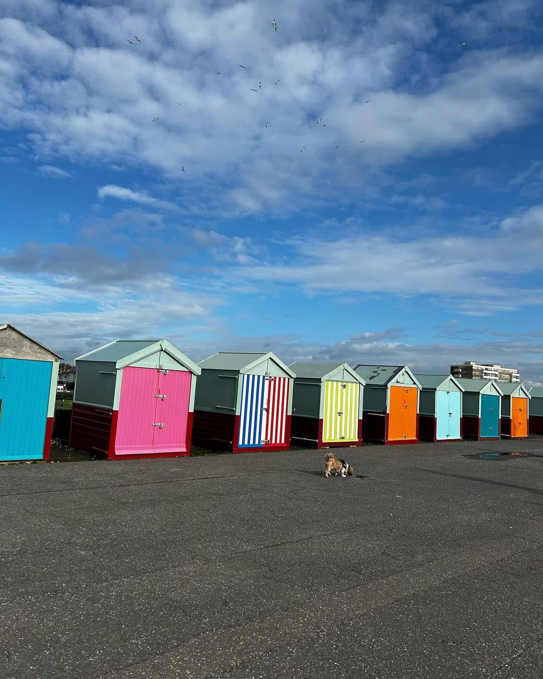 Hove Lagoon