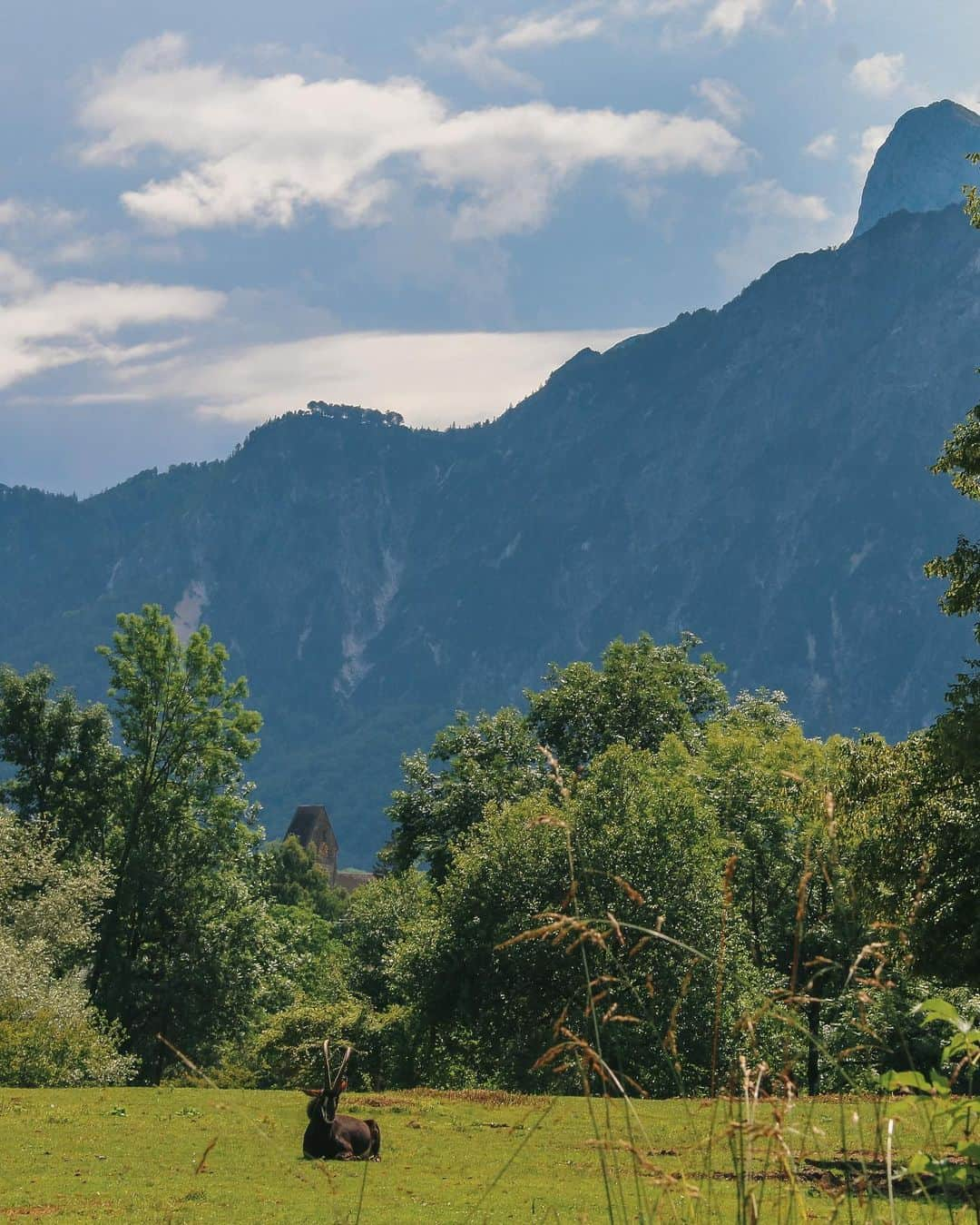 Salzburg Zoo