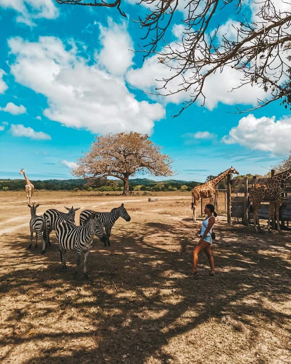 Calauit Safari Park